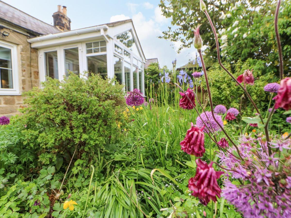 The Cottage, 5 Richley Terrace ニューカッスル・アポン・タイン エクステリア 写真